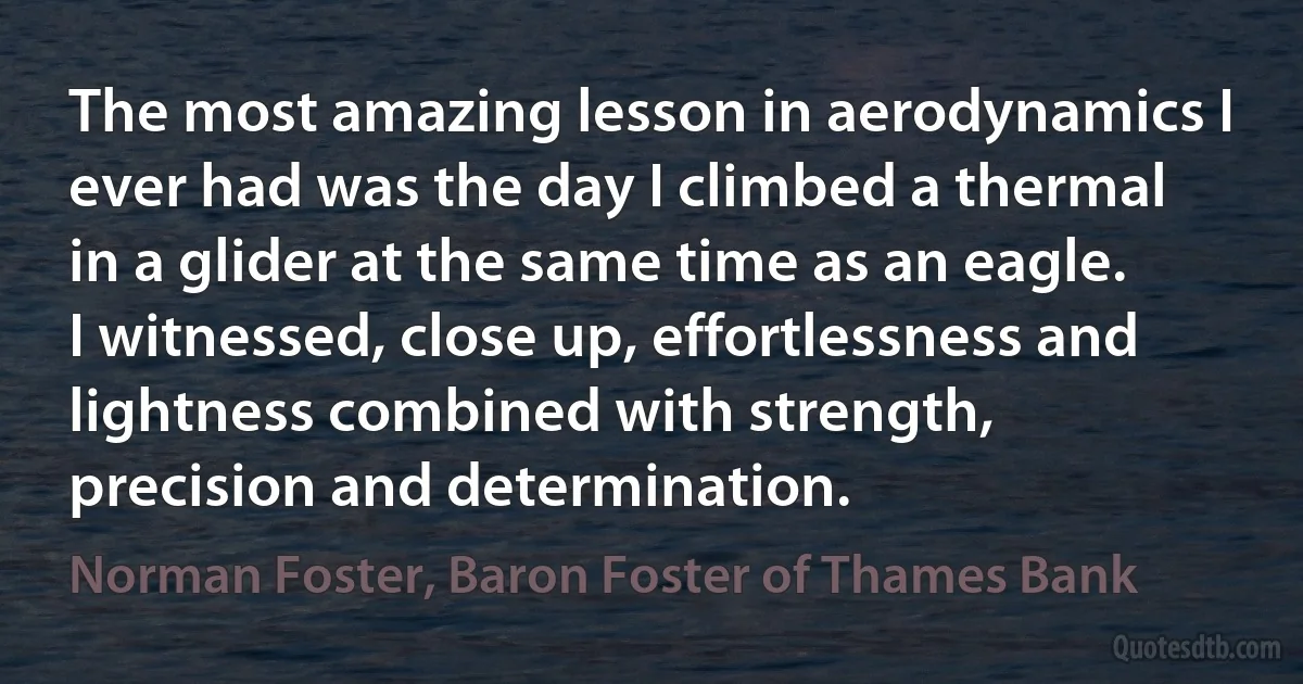 The most amazing lesson in aerodynamics I ever had was the day I climbed a thermal in a glider at the same time as an eagle. I witnessed, close up, effortlessness and lightness combined with strength, precision and determination. (Norman Foster, Baron Foster of Thames Bank)