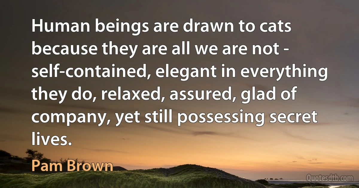 Human beings are drawn to cats because they are all we are not - self-contained, elegant in everything they do, relaxed, assured, glad of company, yet still possessing secret lives. (Pam Brown)