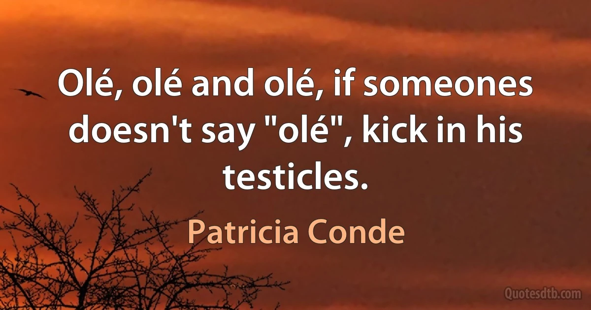 Olé, olé and olé, if someones doesn't say "olé", kick in his testicles. (Patricia Conde)