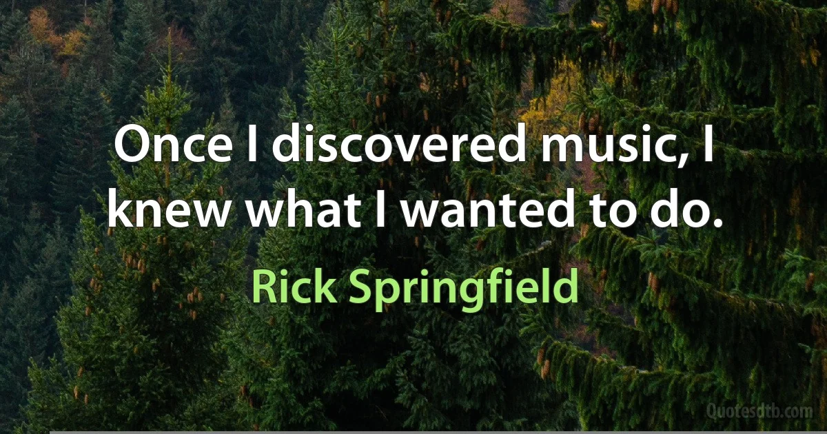 Once I discovered music, I knew what I wanted to do. (Rick Springfield)