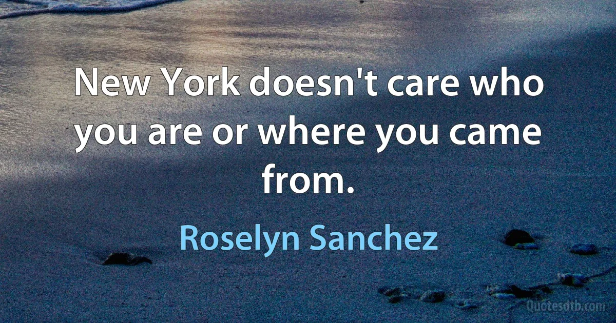 New York doesn't care who you are or where you came from. (Roselyn Sanchez)