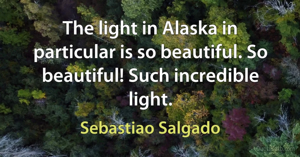 The light in Alaska in particular is so beautiful. So beautiful! Such incredible light. (Sebastiao Salgado)