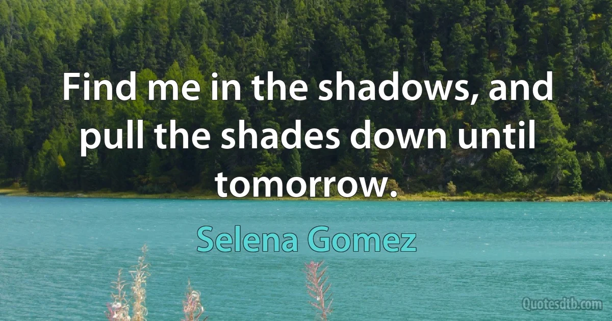 Find me in the shadows, and pull the shades down until tomorrow. (Selena Gomez)