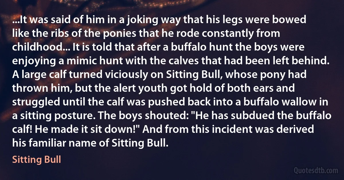 ...It was said of him in a joking way that his legs were bowed like the ribs of the ponies that he rode constantly from childhood... It is told that after a buffalo hunt the boys were enjoying a mimic hunt with the calves that had been left behind. A large calf turned viciously on Sitting Bull, whose pony had thrown him, but the alert youth got hold of both ears and struggled until the calf was pushed back into a buffalo wallow in a sitting posture. The boys shouted: "He has subdued the buffalo calf! He made it sit down!" And from this incident was derived his familiar name of Sitting Bull. (Sitting Bull)