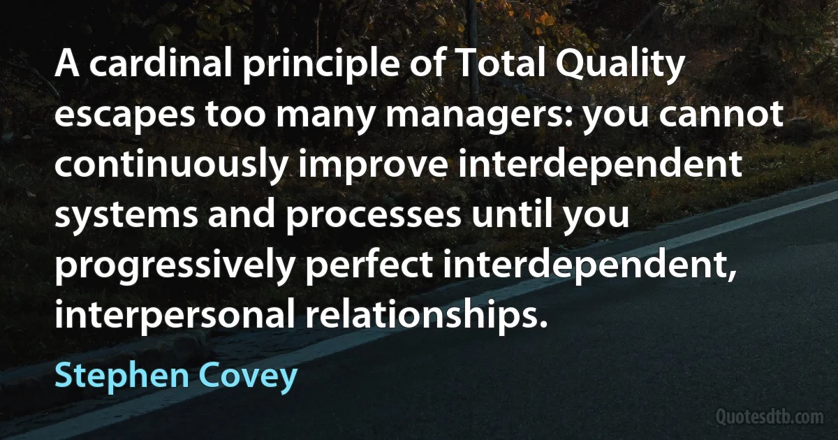 A cardinal principle of Total Quality escapes too many managers: you cannot continuously improve interdependent systems and processes until you progressively perfect interdependent, interpersonal relationships. (Stephen Covey)