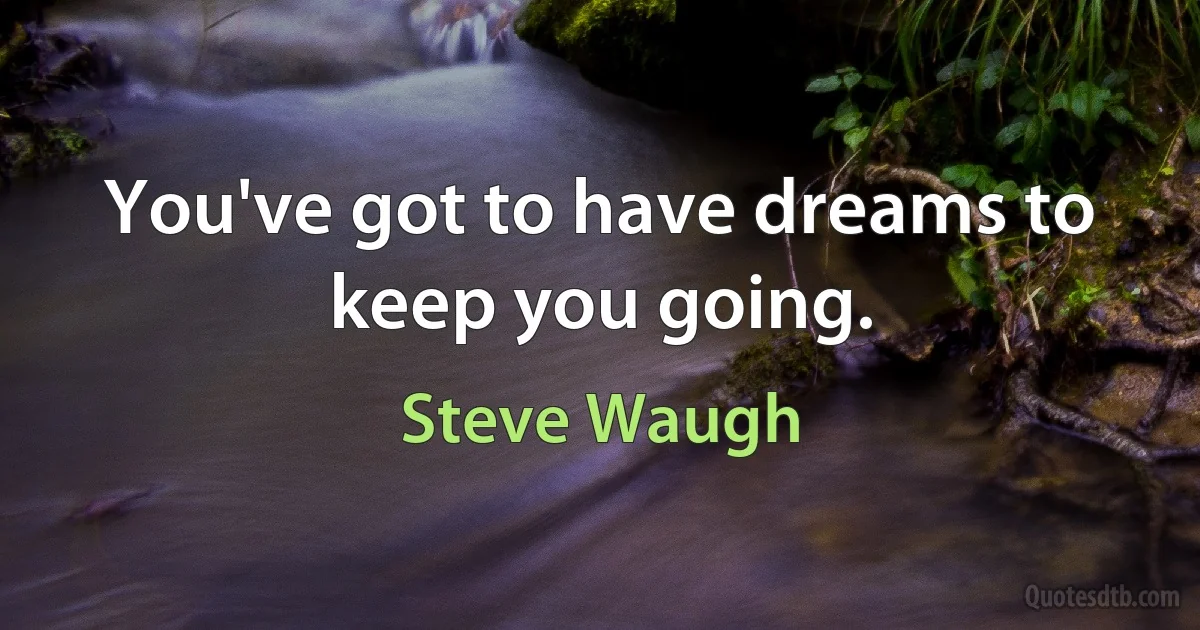 You've got to have dreams to keep you going. (Steve Waugh)