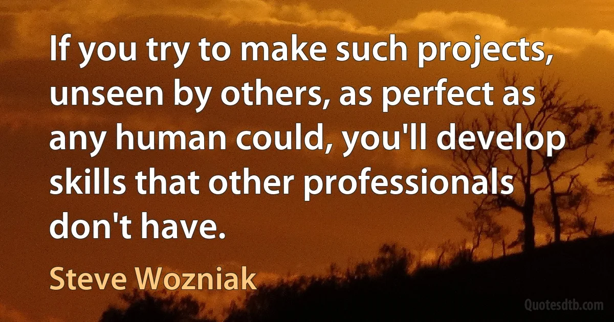 If you try to make such projects, unseen by others, as perfect as any human could, you'll develop skills that other professionals don't have. (Steve Wozniak)