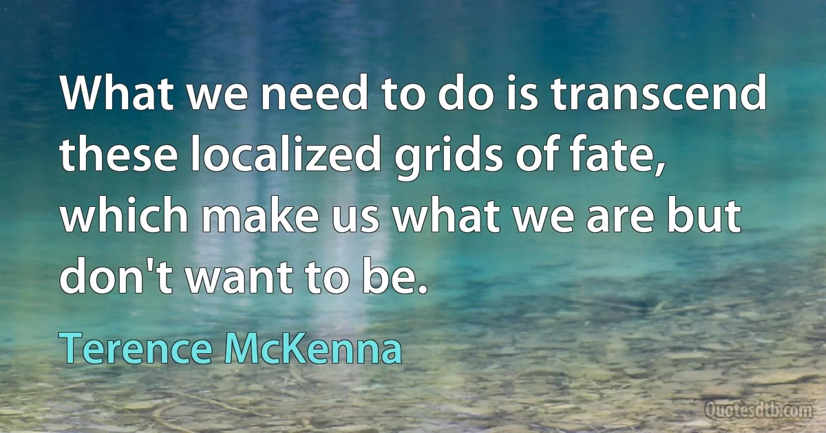 What we need to do is transcend these localized grids of fate, which make us what we are but don't want to be. (Terence McKenna)