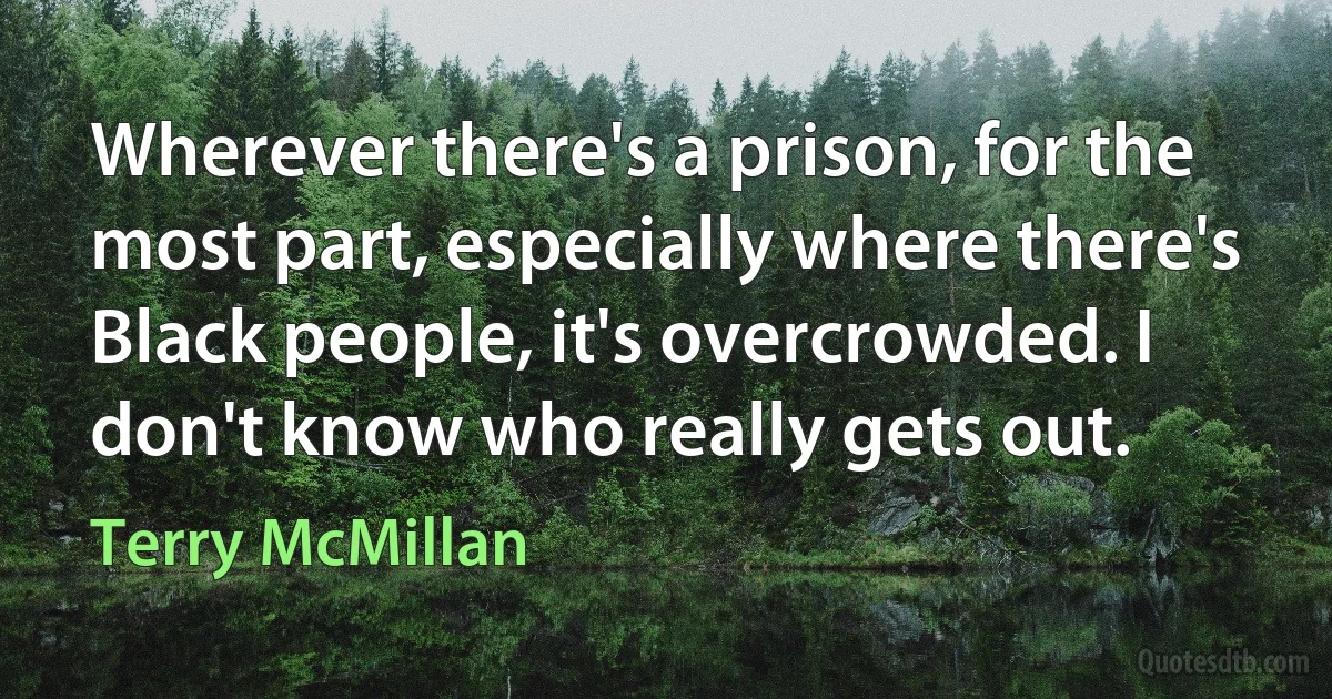 Wherever there's a prison, for the most part, especially where there's Black people, it's overcrowded. I don't know who really gets out. (Terry McMillan)