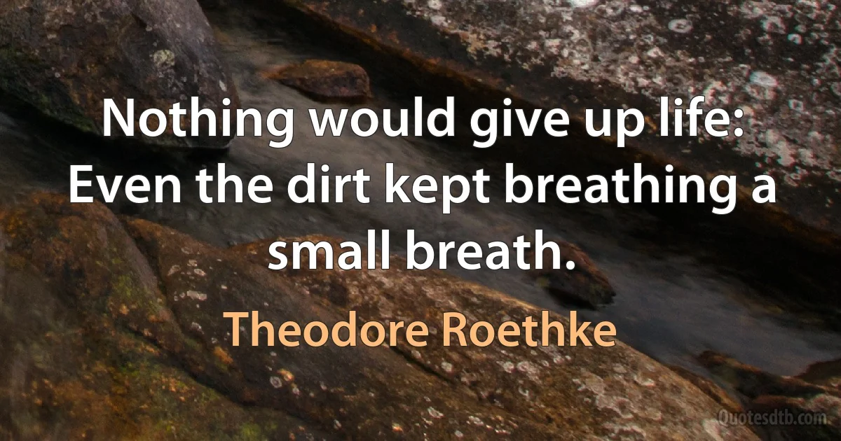 Nothing would give up life:
Even the dirt kept breathing a small breath. (Theodore Roethke)