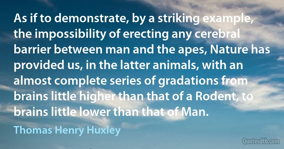 As if to demonstrate, by a striking example, the impossibility of erecting any cerebral barrier between man and the apes, Nature has provided us, in the latter animals, with an almost complete series of gradations from brains little higher than that of a Rodent, to brains little lower than that of Man. (Thomas Henry Huxley)