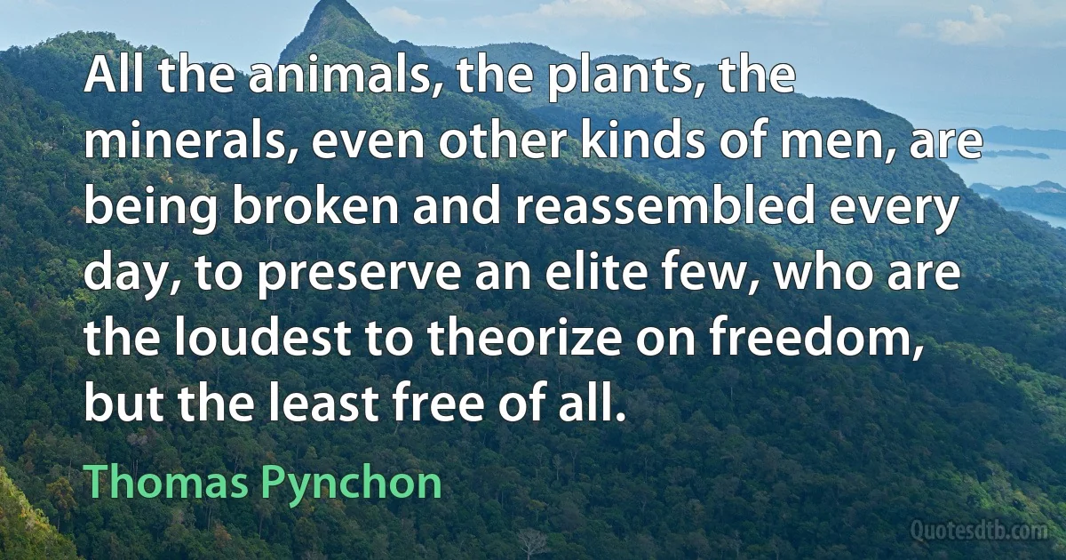 All the animals, the plants, the minerals, even other kinds of men, are being broken and reassembled every day, to preserve an elite few, who are the loudest to theorize on freedom, but the least free of all. (Thomas Pynchon)