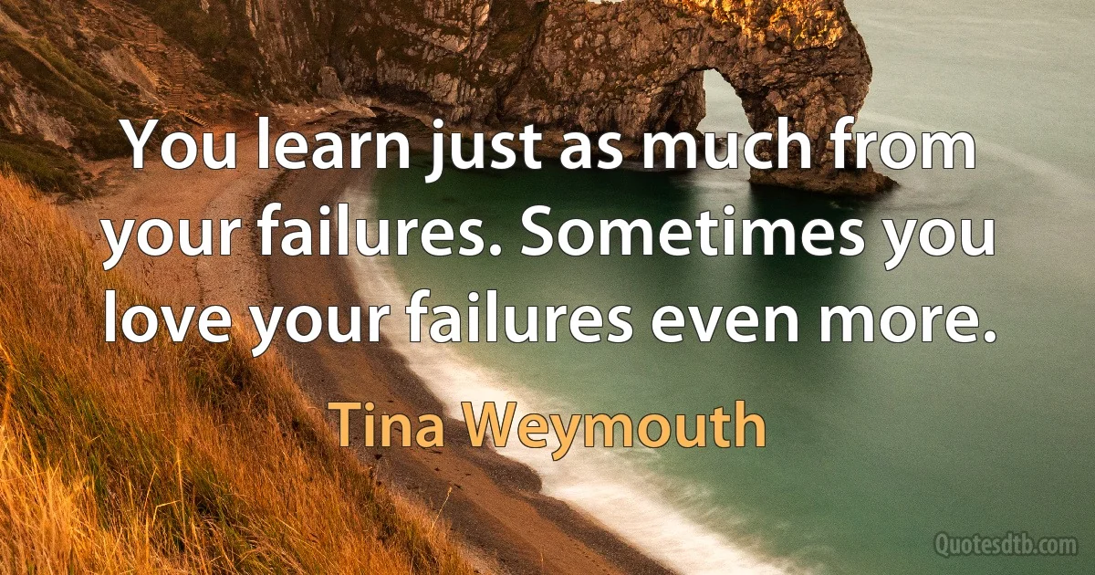 You learn just as much from your failures. Sometimes you love your failures even more. (Tina Weymouth)