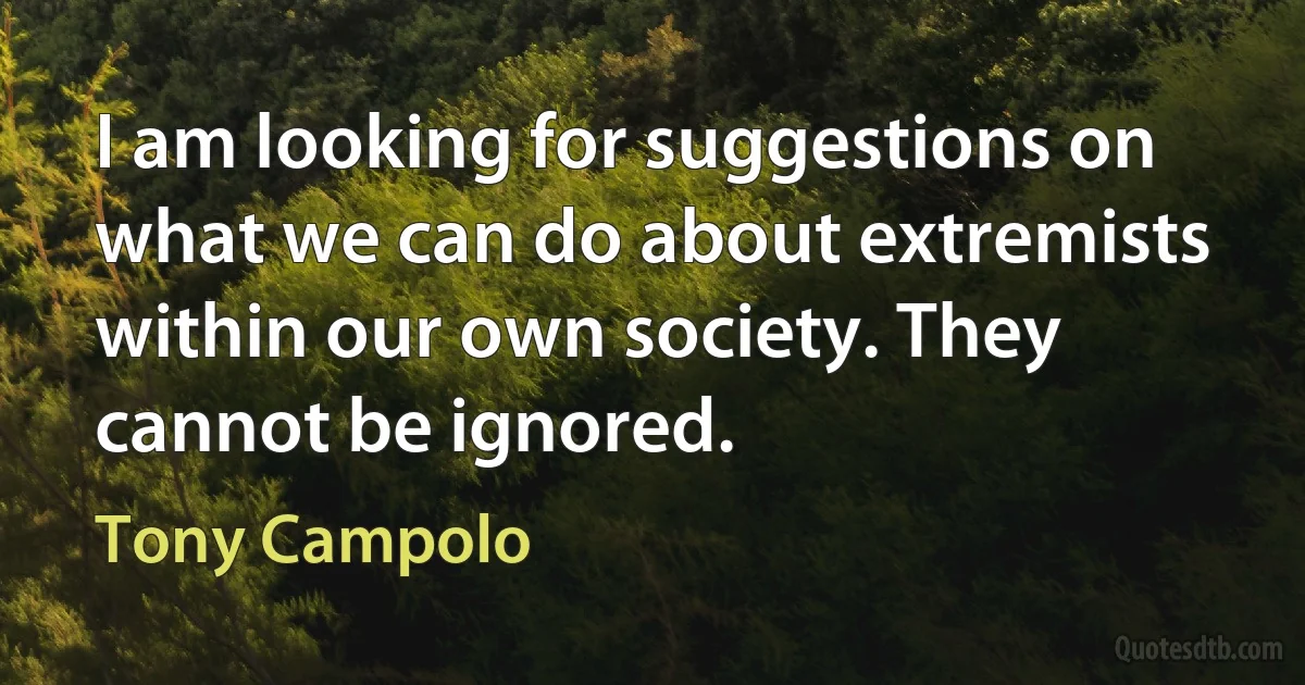 I am looking for suggestions on what we can do about extremists within our own society. They cannot be ignored. (Tony Campolo)