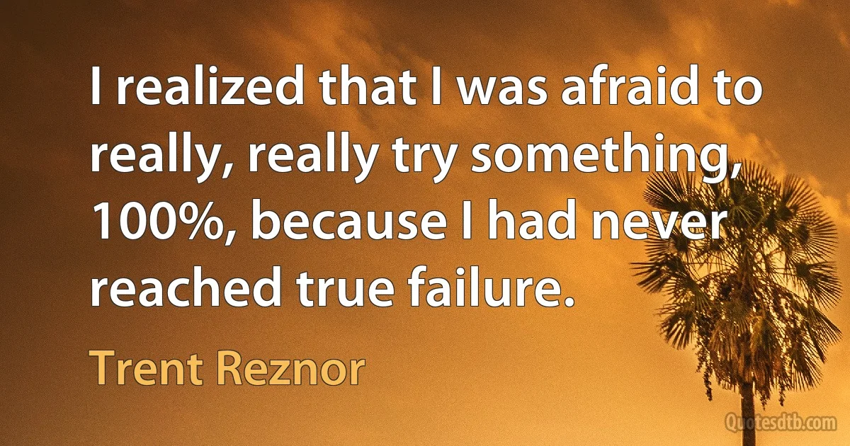 I realized that I was afraid to really, really try something, 100%, because I had never reached true failure. (Trent Reznor)