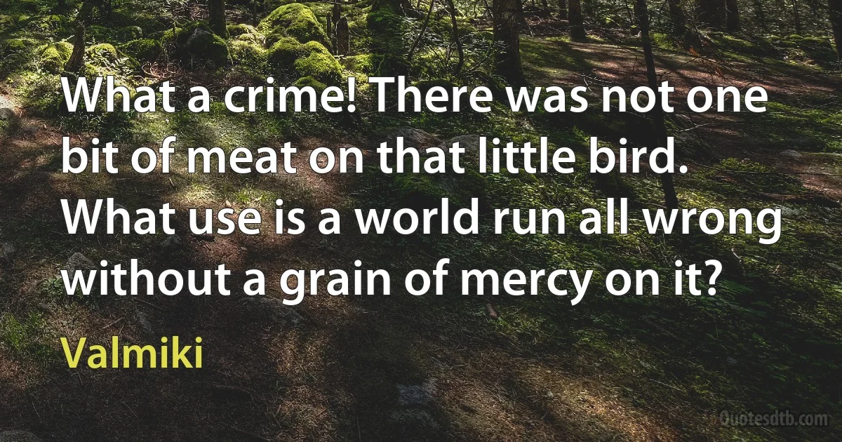 What a crime! There was not one bit of meat on that little bird. What use is a world run all wrong without a grain of mercy on it? (Valmiki)