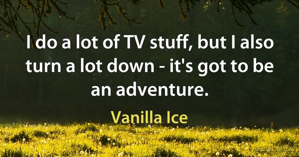 I do a lot of TV stuff, but I also turn a lot down - it's got to be an adventure. (Vanilla Ice)