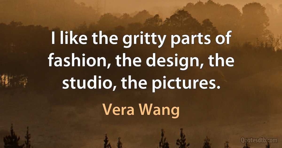 I like the gritty parts of fashion, the design, the studio, the pictures. (Vera Wang)