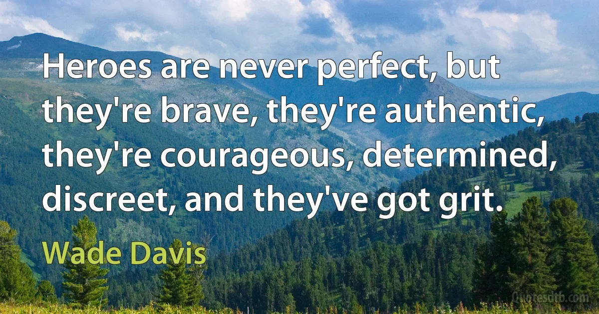 Heroes are never perfect, but they're brave, they're authentic, they're courageous, determined, discreet, and they've got grit. (Wade Davis)