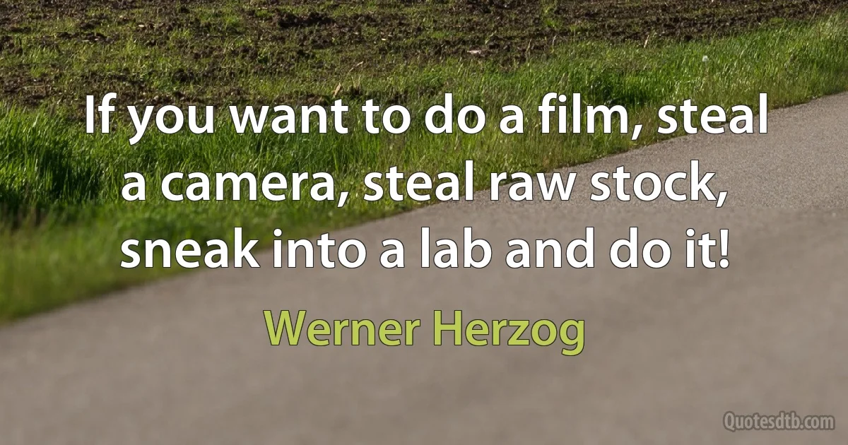 If you want to do a film, steal a camera, steal raw stock, sneak into a lab and do it! (Werner Herzog)