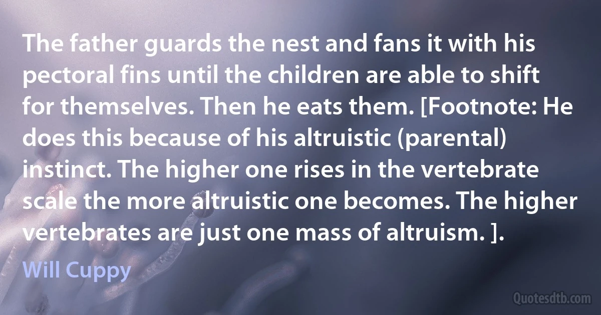 The father guards the nest and fans it with his pectoral fins until the children are able to shift for themselves. Then he eats them. [Footnote: He does this because of his altruistic (parental) instinct. The higher one rises in the vertebrate scale the more altruistic one becomes. The higher vertebrates are just one mass of altruism. ]. (Will Cuppy)