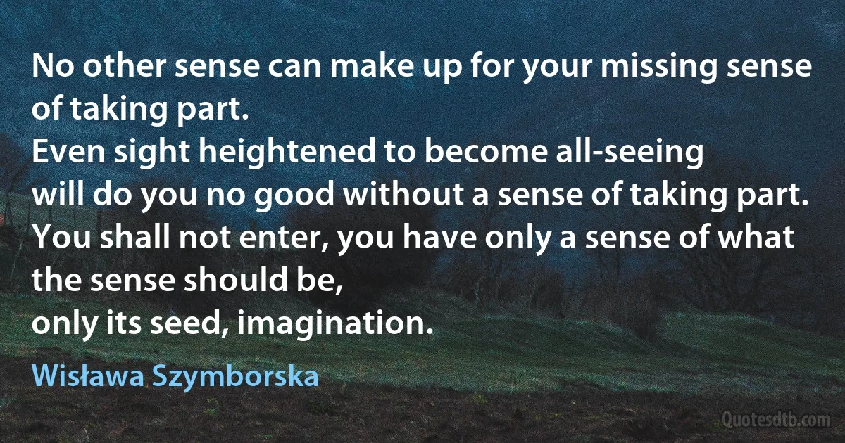 No other sense can make up for your missing sense of taking part.
Even sight heightened to become all-seeing
will do you no good without a sense of taking part.
You shall not enter, you have only a sense of what the sense should be,
only its seed, imagination. (Wisława Szymborska)