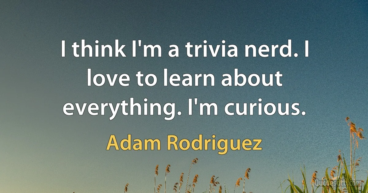 I think I'm a trivia nerd. I love to learn about everything. I'm curious. (Adam Rodriguez)