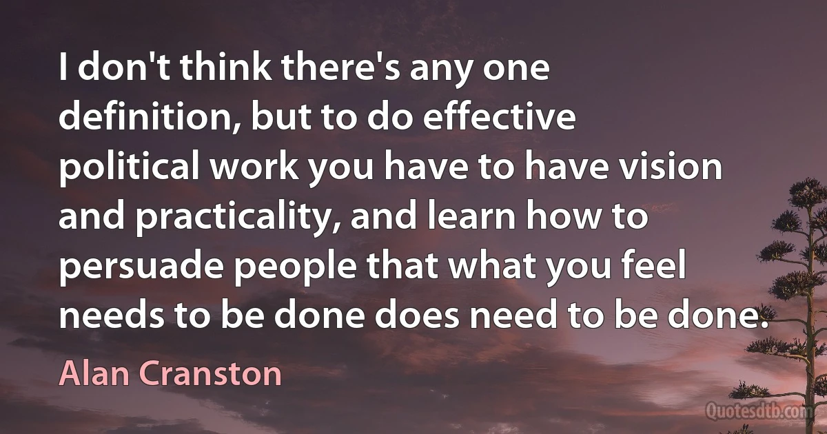 I don't think there's any one definition, but to do effective political work you have to have vision and practicality, and learn how to persuade people that what you feel needs to be done does need to be done. (Alan Cranston)