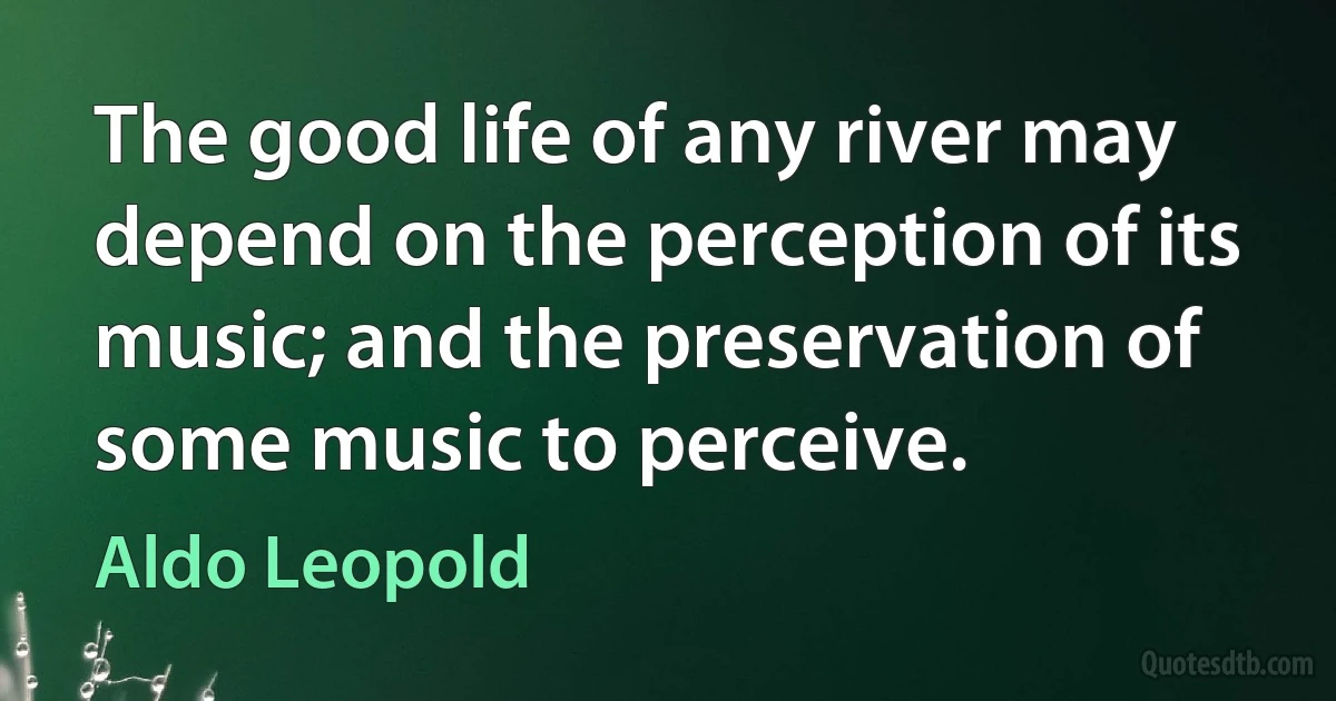 The good life of any river may depend on the perception of its music; and the preservation of some music to perceive. (Aldo Leopold)