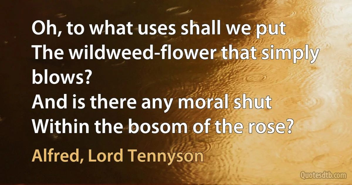 Oh, to what uses shall we put
The wildweed-flower that simply blows?
And is there any moral shut
Within the bosom of the rose? (Alfred, Lord Tennyson)