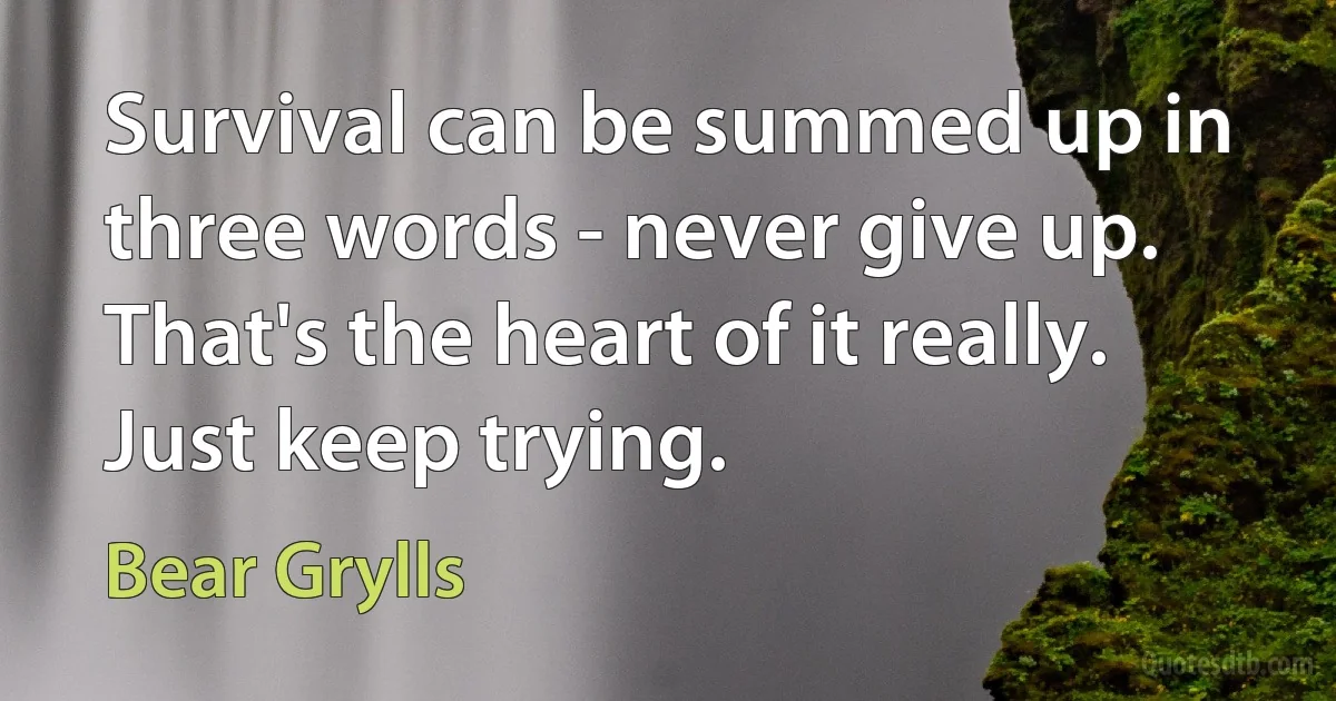 Survival can be summed up in three words - never give up. That's the heart of it really. Just keep trying. (Bear Grylls)