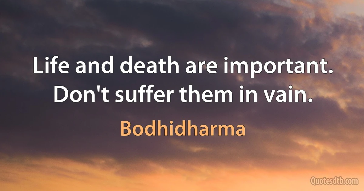 Life and death are important. Don't suffer them in vain. (Bodhidharma)