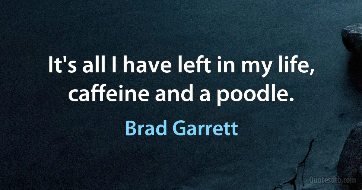 It's all I have left in my life, caffeine and a poodle. (Brad Garrett)