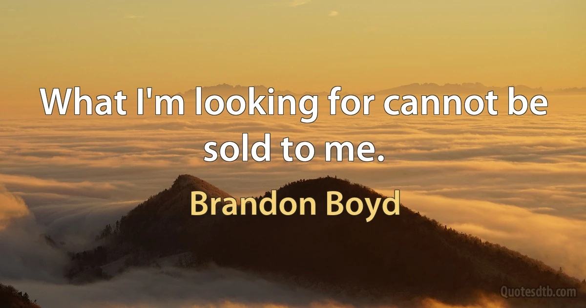 What I'm looking for cannot be sold to me. (Brandon Boyd)