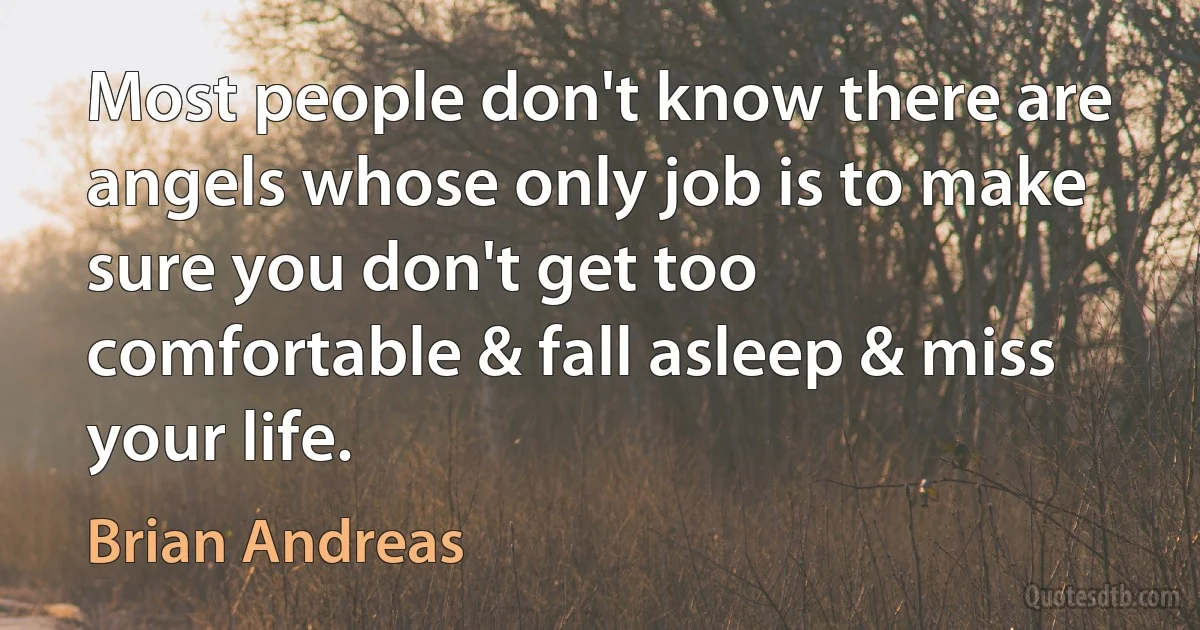 Most people don't know there are angels whose only job is to make sure you don't get too comfortable & fall asleep & miss your life. (Brian Andreas)