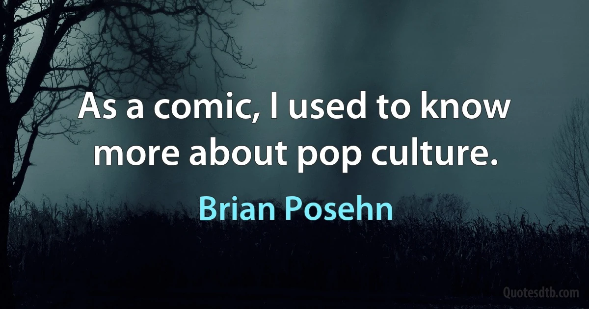 As a comic, I used to know more about pop culture. (Brian Posehn)