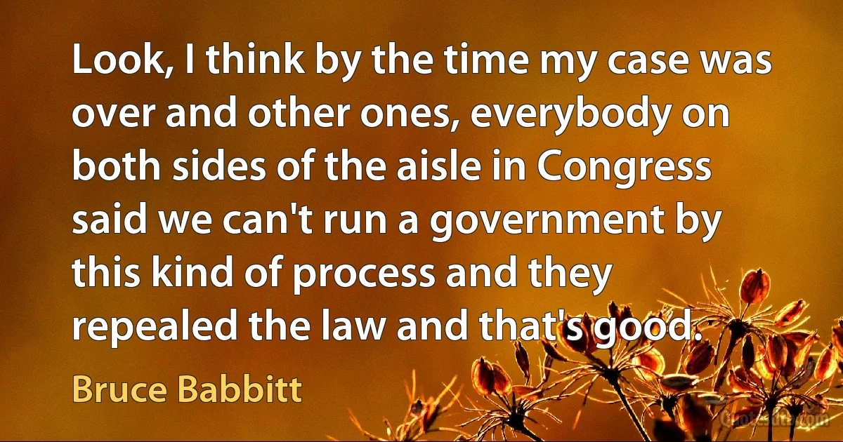 Look, I think by the time my case was over and other ones, everybody on both sides of the aisle in Congress said we can't run a government by this kind of process and they repealed the law and that's good. (Bruce Babbitt)