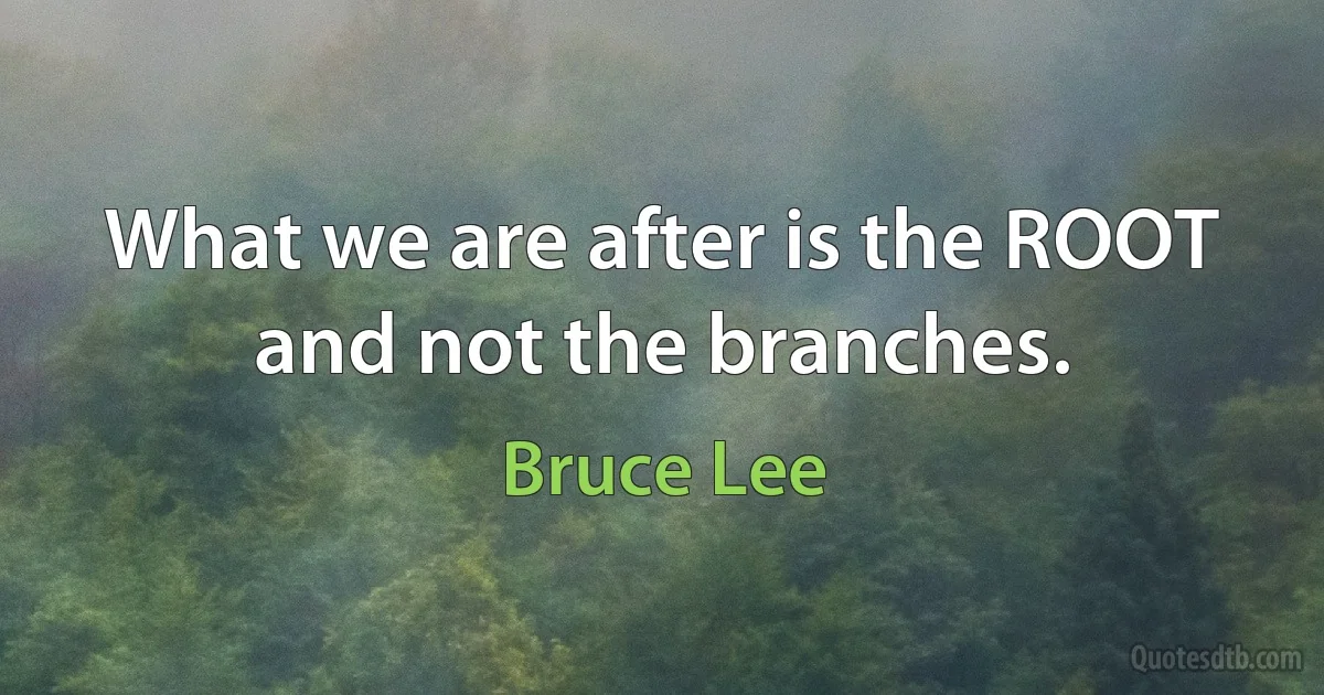 What we are after is the ROOT and not the branches. (Bruce Lee)