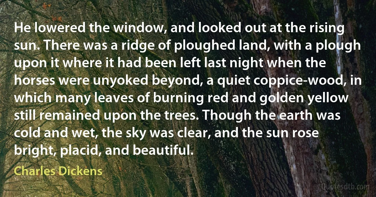 He lowered the window, and looked out at the rising sun. There was a ridge of ploughed land, with a plough upon it where it had been left last night when the horses were unyoked beyond, a quiet coppice-wood, in which many leaves of burning red and golden yellow still remained upon the trees. Though the earth was cold and wet, the sky was clear, and the sun rose bright, placid, and beautiful. (Charles Dickens)