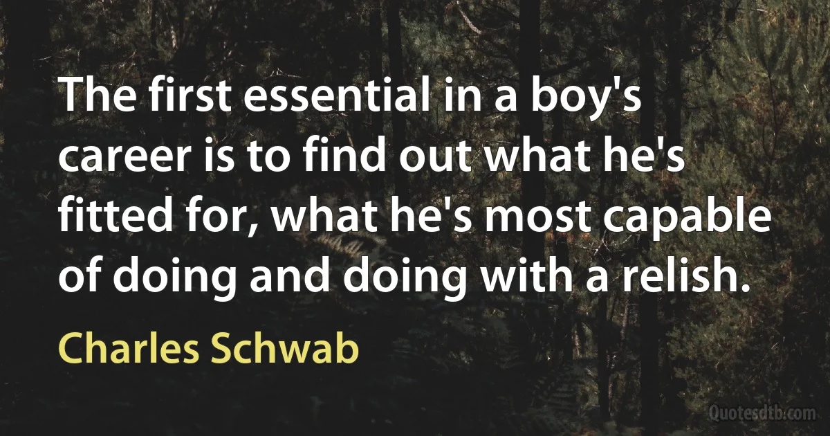 The first essential in a boy's career is to find out what he's fitted for, what he's most capable of doing and doing with a relish. (Charles Schwab)