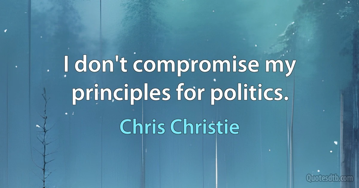 I don't compromise my principles for politics. (Chris Christie)