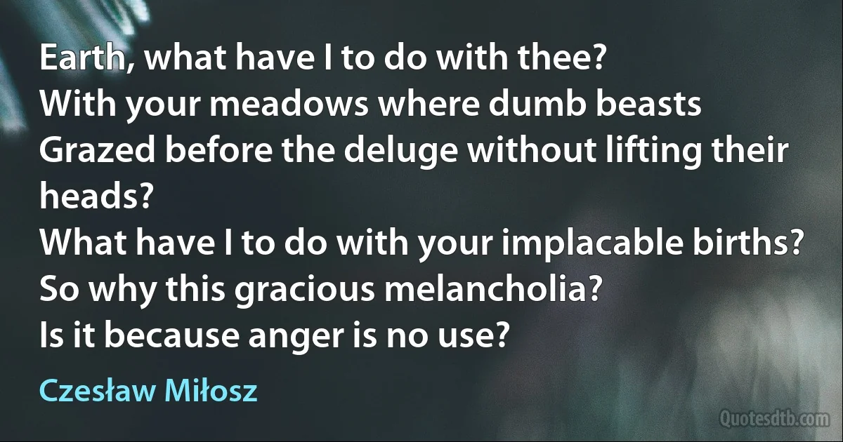 Earth, what have I to do with thee?
With your meadows where dumb beasts
Grazed before the deluge without lifting their heads?
What have I to do with your implacable births?
So why this gracious melancholia?
Is it because anger is no use? (Czesław Miłosz)