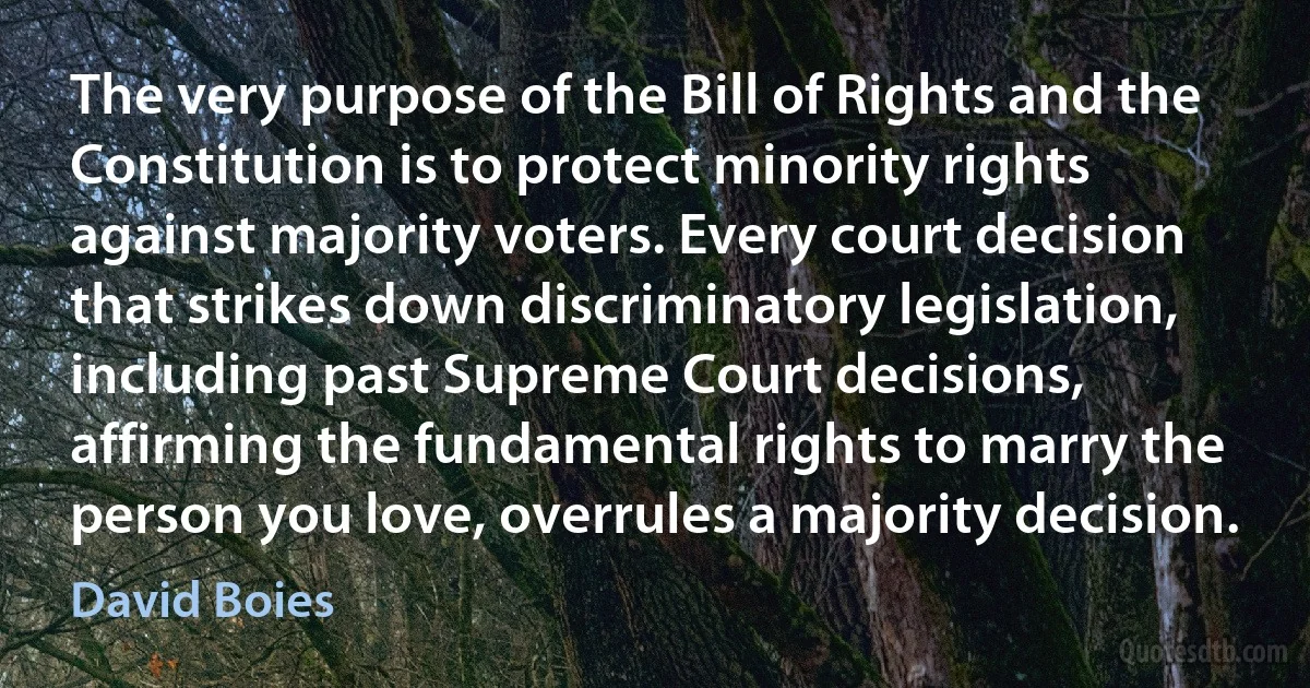 The very purpose of the Bill of Rights and the Constitution is to protect minority rights against majority voters. Every court decision that strikes down discriminatory legislation, including past Supreme Court decisions, affirming the fundamental rights to marry the person you love, overrules a majority decision. (David Boies)