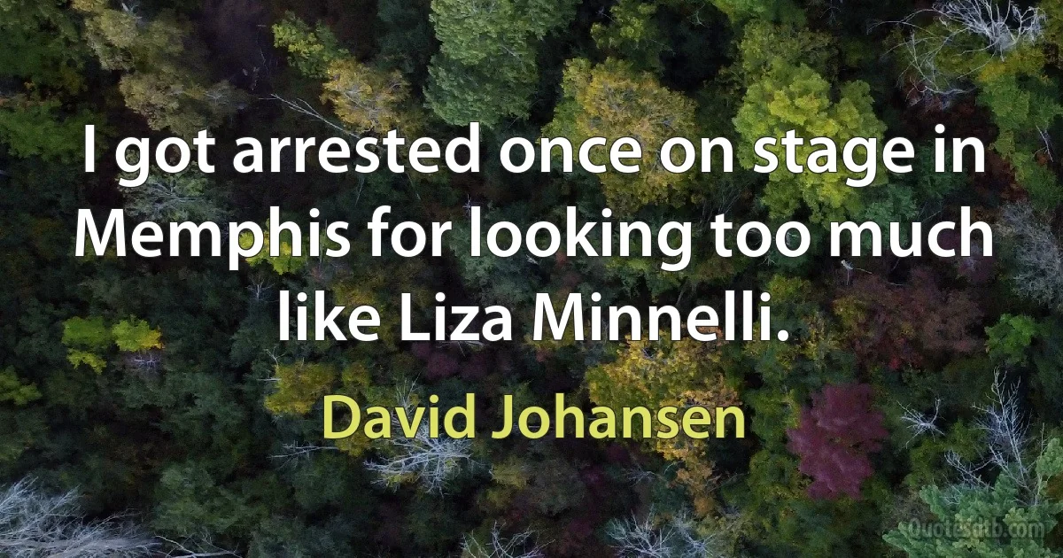 I got arrested once on stage in Memphis for looking too much like Liza Minnelli. (David Johansen)