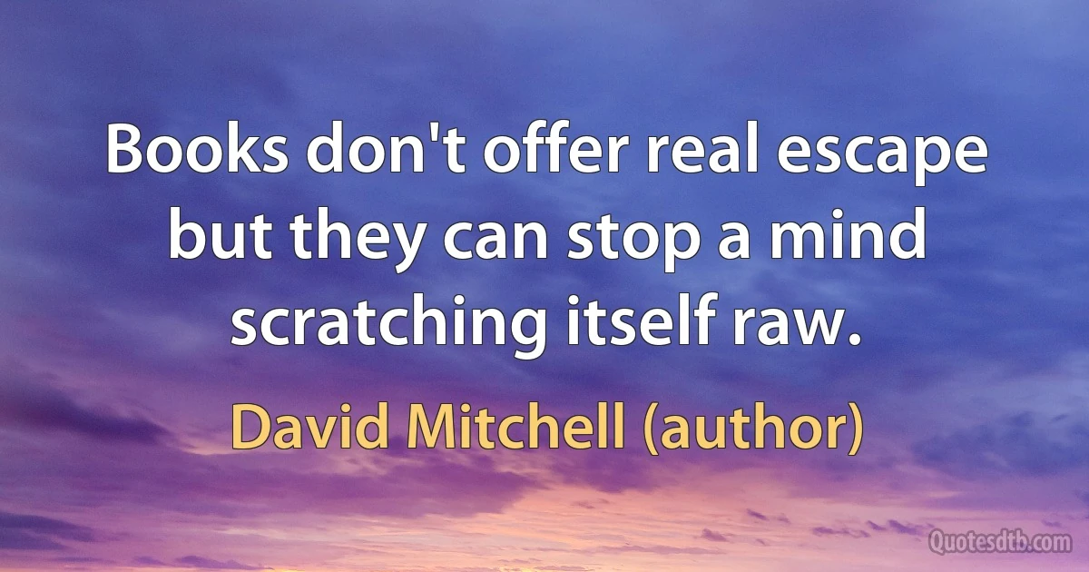 Books don't offer real escape but they can stop a mind scratching itself raw. (David Mitchell (author))