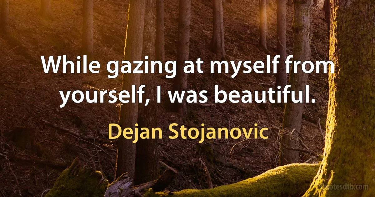 While gazing at myself from yourself, I was beautiful. (Dejan Stojanovic)