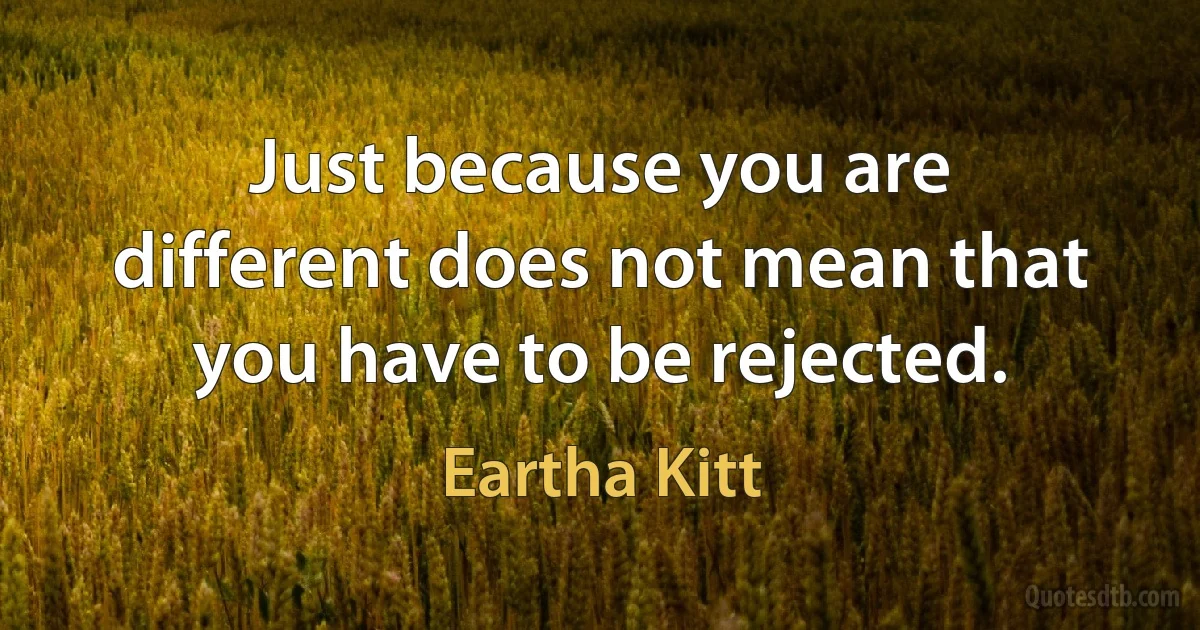 Just because you are different does not mean that you have to be rejected. (Eartha Kitt)