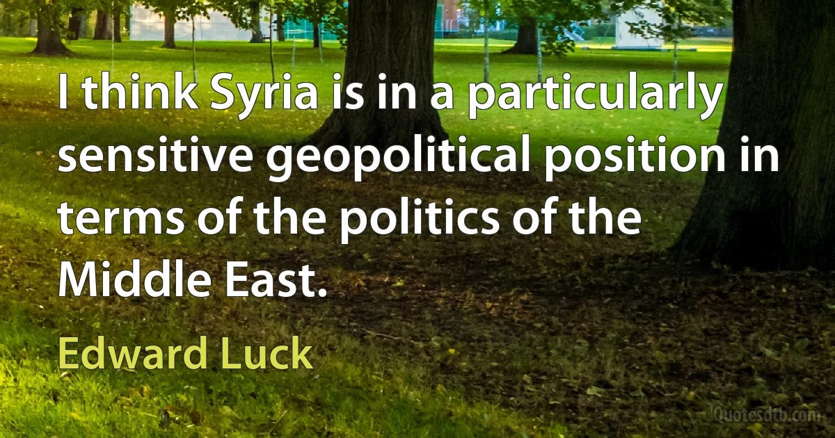 I think Syria is in a particularly sensitive geopolitical position in terms of the politics of the Middle East. (Edward Luck)