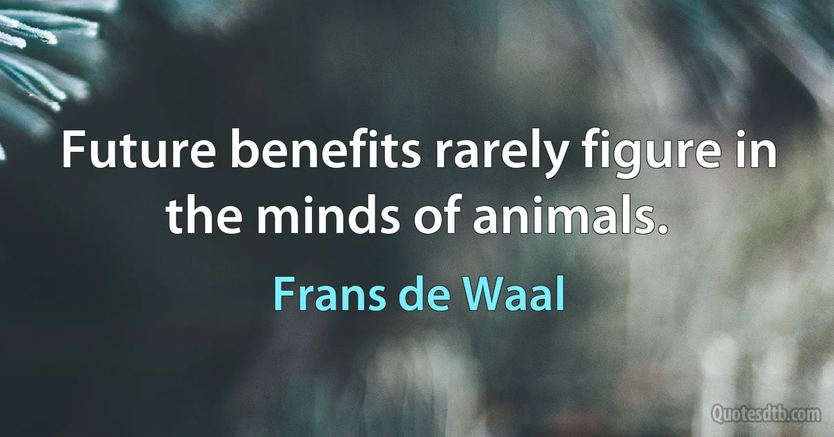 Future benefits rarely figure in the minds of animals. (Frans de Waal)