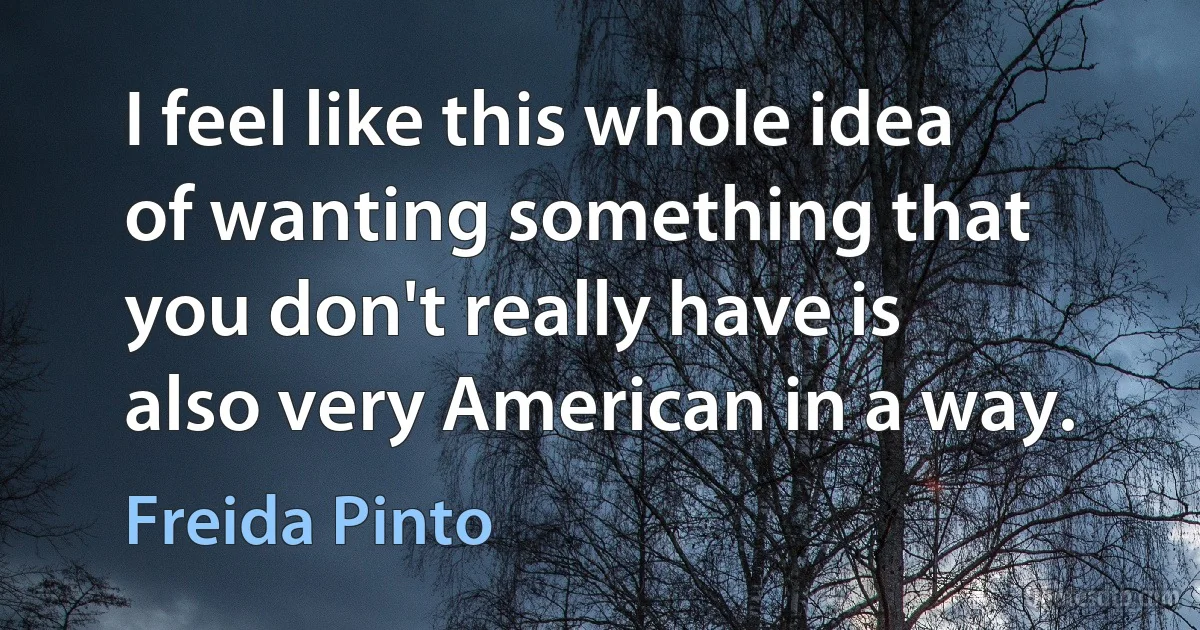 I feel like this whole idea of wanting something that you don't really have is also very American in a way. (Freida Pinto)